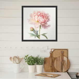 Watercolor Soft Pink Peony in Bloom Square Poster