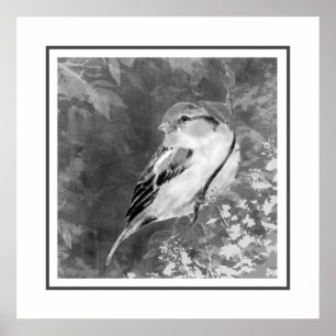 Watercolor Sparrow Bird in Forest Poster