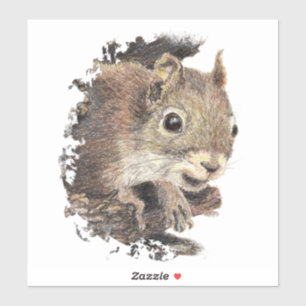 Watercolor Squirrel Animal Nature Art