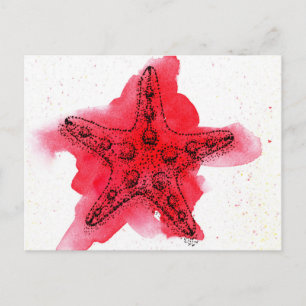 Watercolor Starfish Postcard