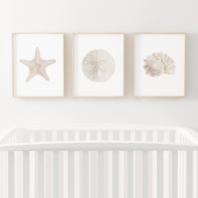 Watercolor Starfish Sand Dollar Sea Shell Beach (Creator Uploaded)