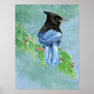 Watercolor Stellar Jay Bird Nature Poster