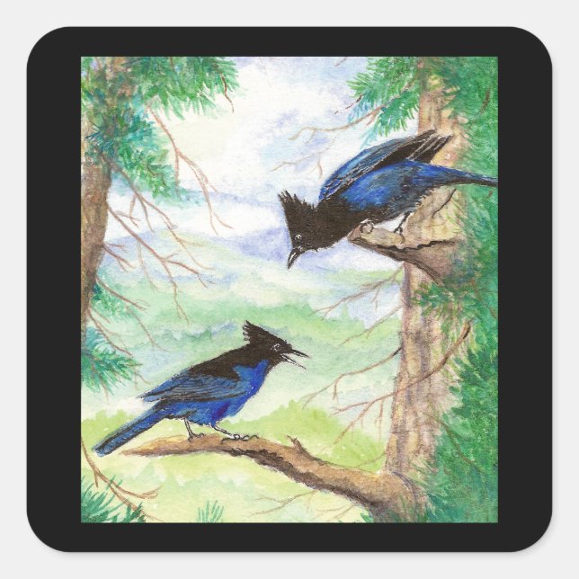 Watercolor Stellar Jay Birds Forest Trees  Square Sticker (Front)