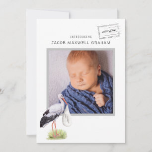 Watercolor Stork Double Sided Birth Announcement
