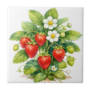 Watercolor Strawberries and Berry Blossom Tile