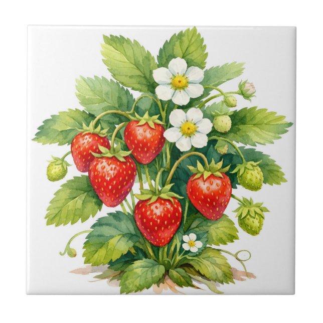 Watercolor Strawberries and Berry Blossom  Tile (Front)