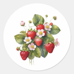 Watercolor Strawberry Fruit with Flowers Classic Round Sticker