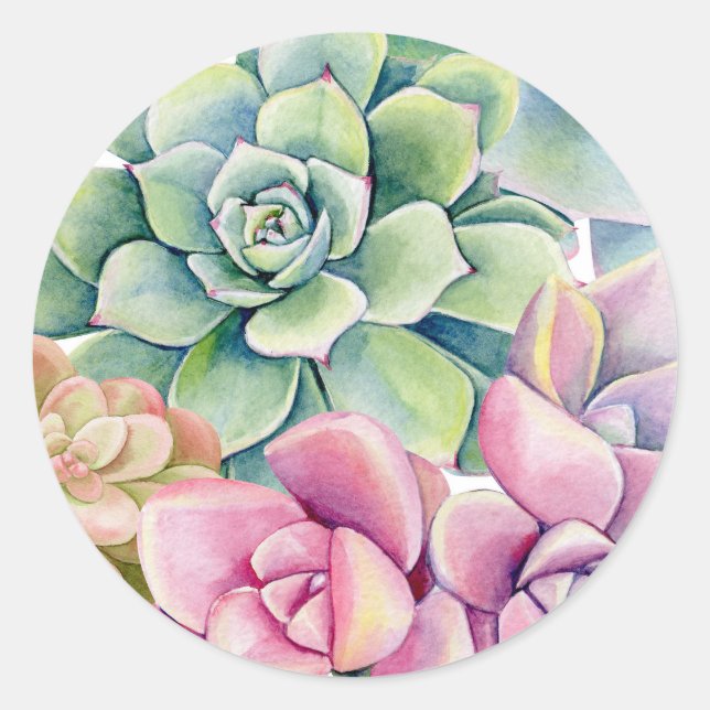 Watercolor Succulents Bouquet Summer Classic Round Sticker (Front)
