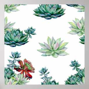 Watercolor succulents seamless pattern, echeveria  poster