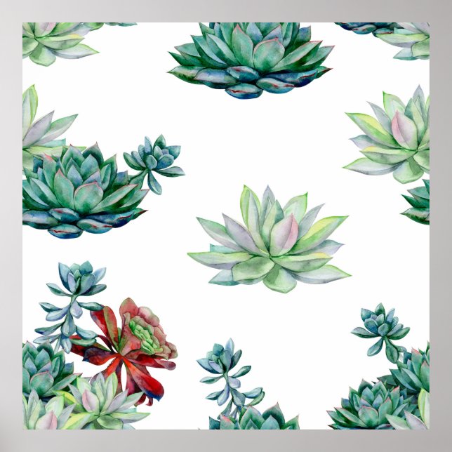 Watercolor succulents seamless pattern, echeveria  poster (Front)