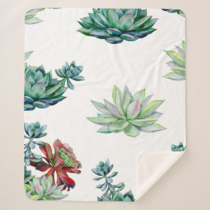 Watercolor succulents seamless pattern, echeveria sherpa blanket