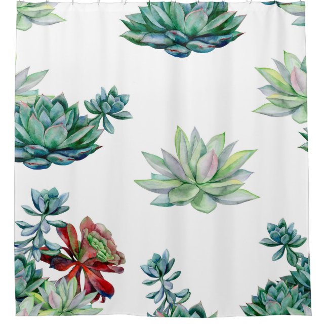 Watercolor succulents seamless pattern, echeveria  shower curtain (Front)