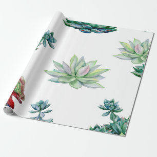 Watercolor succulents seamless pattern, echeveria  wrapping paper