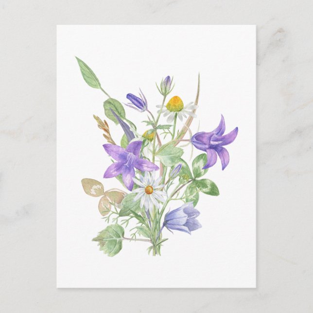 Watercolor Summer Flowers  Postcard (Front)