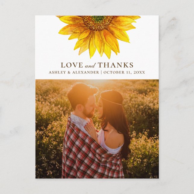 Watercolor sunflower. Rustic wedding thank you Postcard (Front)