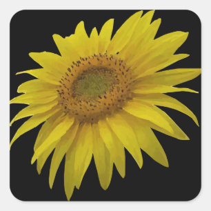 Watercolor sunflower square sticker