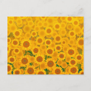 Watercolor Sunflowers Postcard