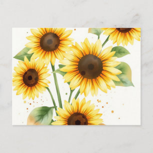 Watercolor Sunflowers with Cream Edges Postcard