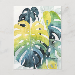 Watercolor Sunset Palm Tree Leaves Postcard