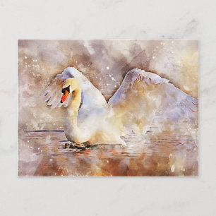 Watercolor Swan Postcard