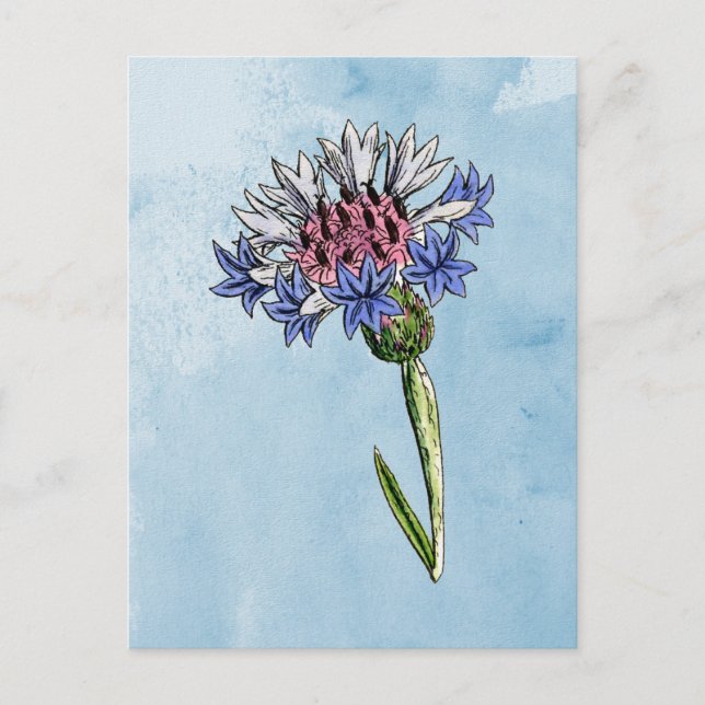 Watercolor Thistle Postcard (Front)