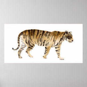 Watercolor Tiger Walking Poster