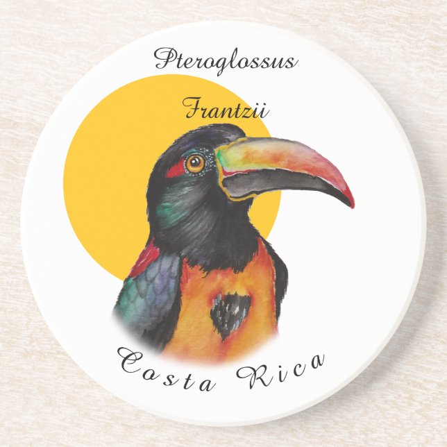 Watercolor toucan coaster (Front)