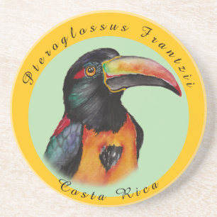 Watercolor toucan coaster