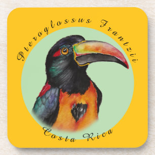 Watercolor toucan coaster