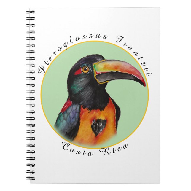 Watercolor toucan notebook (Front)