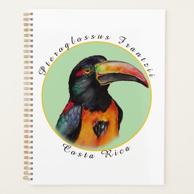 Watercolor toucan planner (Front)