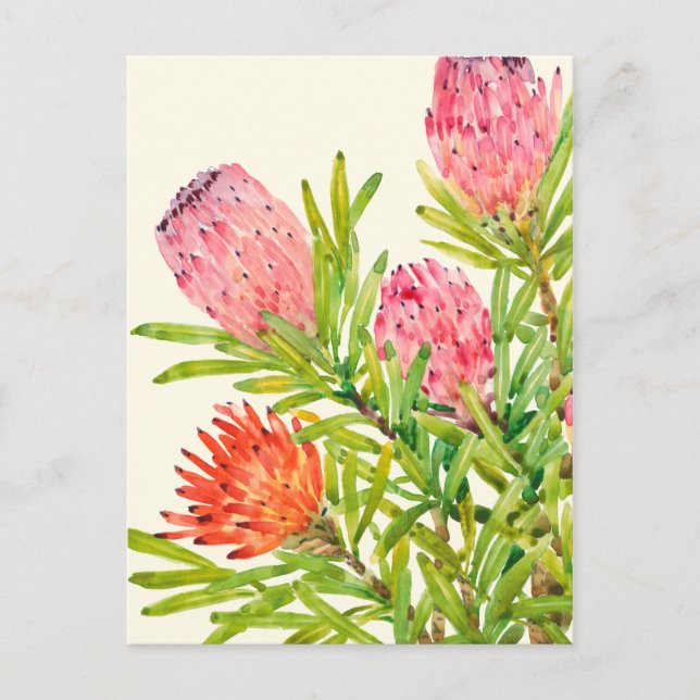 Watercolor Tropical Flowers Postcard (Front)