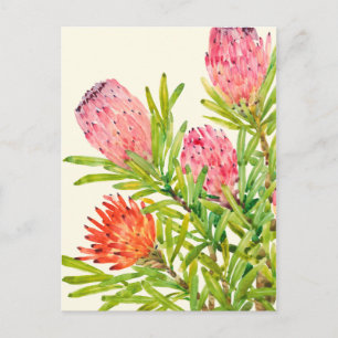 Watercolor Tropical Flowers Postcard