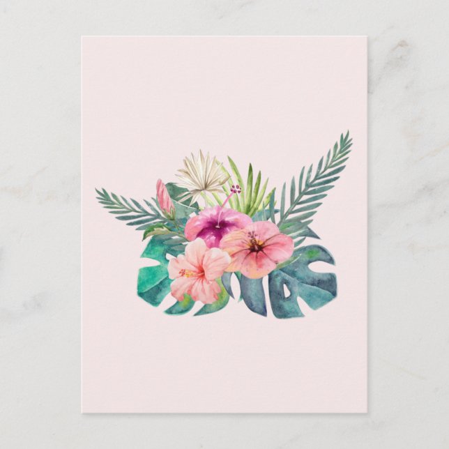 Watercolor Tropical Pink Hibiscus Flowers  Postcard (Front)