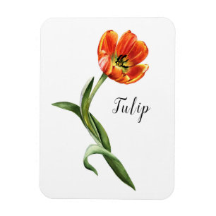 Watercolor Tulip Floral Magnet