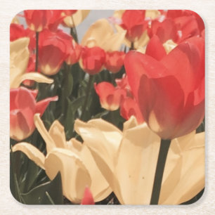 Watercolor Tulips Coasters