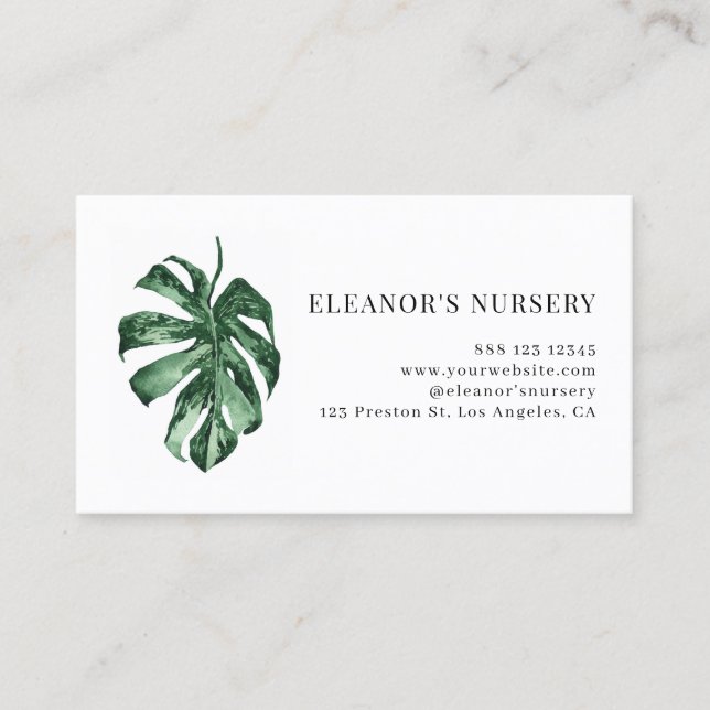 Watercolor Variegated Monstera Tropical Nursery Business Card (Front)