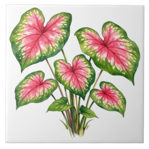 Watercolor Vibrant Pink Caladium Plant  Tile