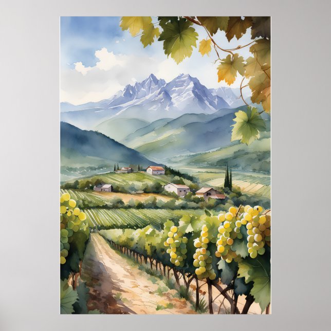 Watercolor Vineyard Poster (Front)