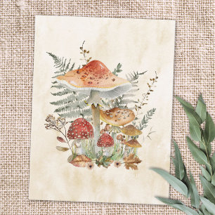 Watercolor Vintage Mushrooms and Ferns Leaves Postcard