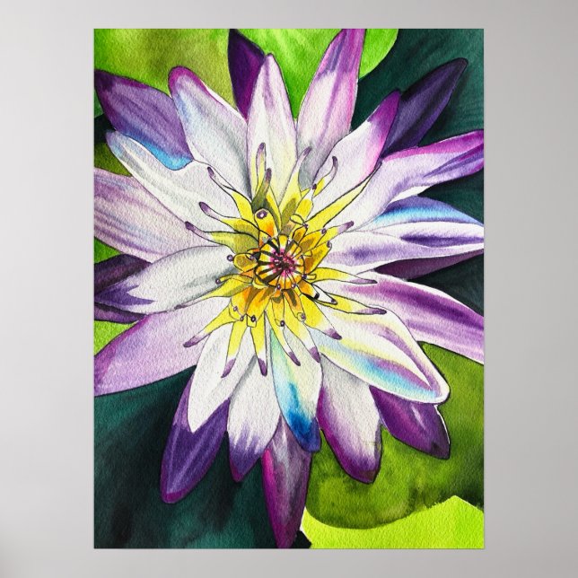 Watercolor water lilies fine art poster (Front)