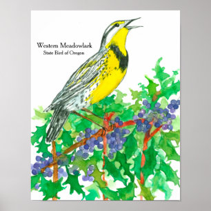 Watercolor Western Meadowlark Bird Poster