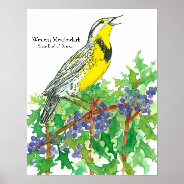 Watercolor Western Meadowlark Bird Poster (Front)