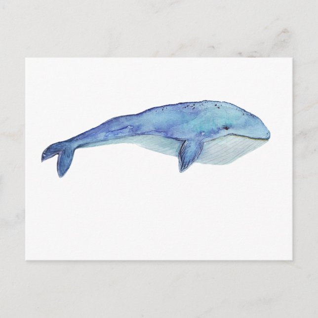 Watercolor Whale Postcard (Front)