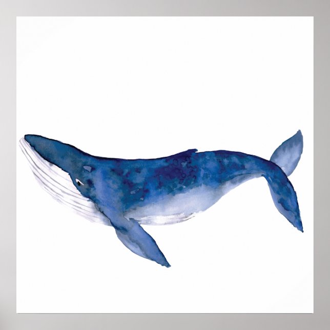 Watercolor whale poster (Front)