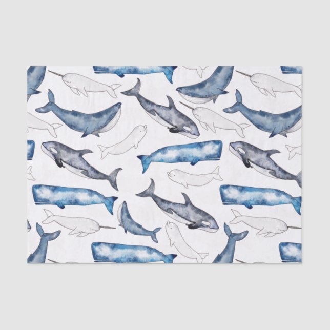 Watercolor Whales Tissue Paper (Front)