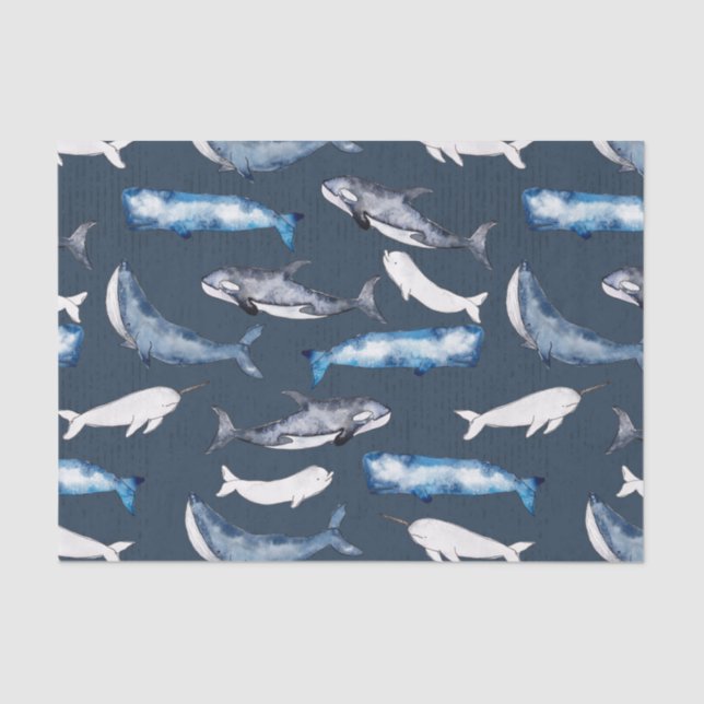 Watercolor Whales Tissue Paper (Front)