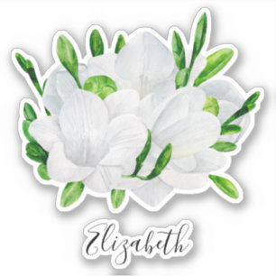Watercolor white freesia. Elegant floral name