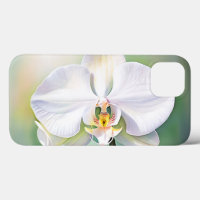 Watercolor White Orchid with Delicate Petals