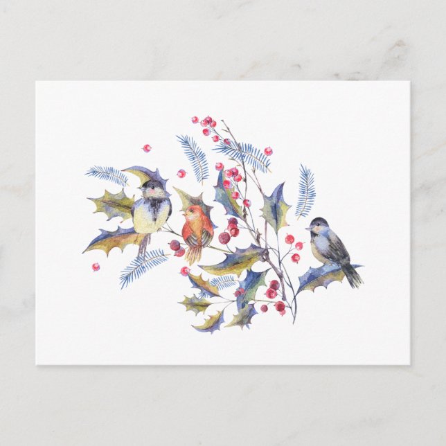 Watercolor Wild Forest Birds and Red Berries Postcard (Front)